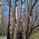 ���� �������, ��������, 64 ���� - ��������� 15 ��� 2022 � ������ ���� ����������