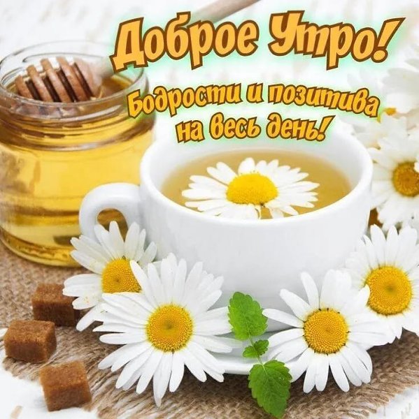Доброта нужна всем! Будьте добры и внимательны к окружающему миру!)