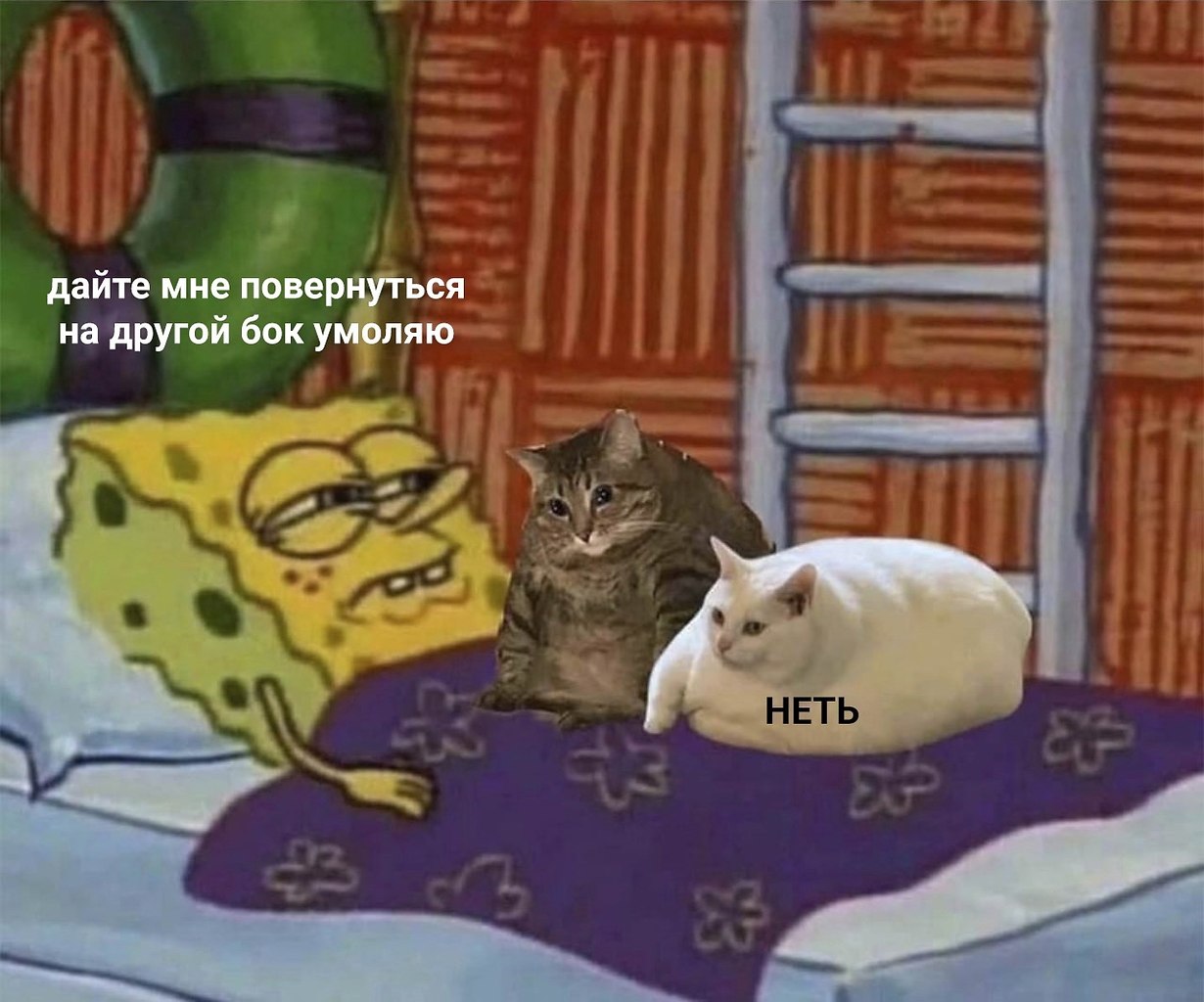   :
