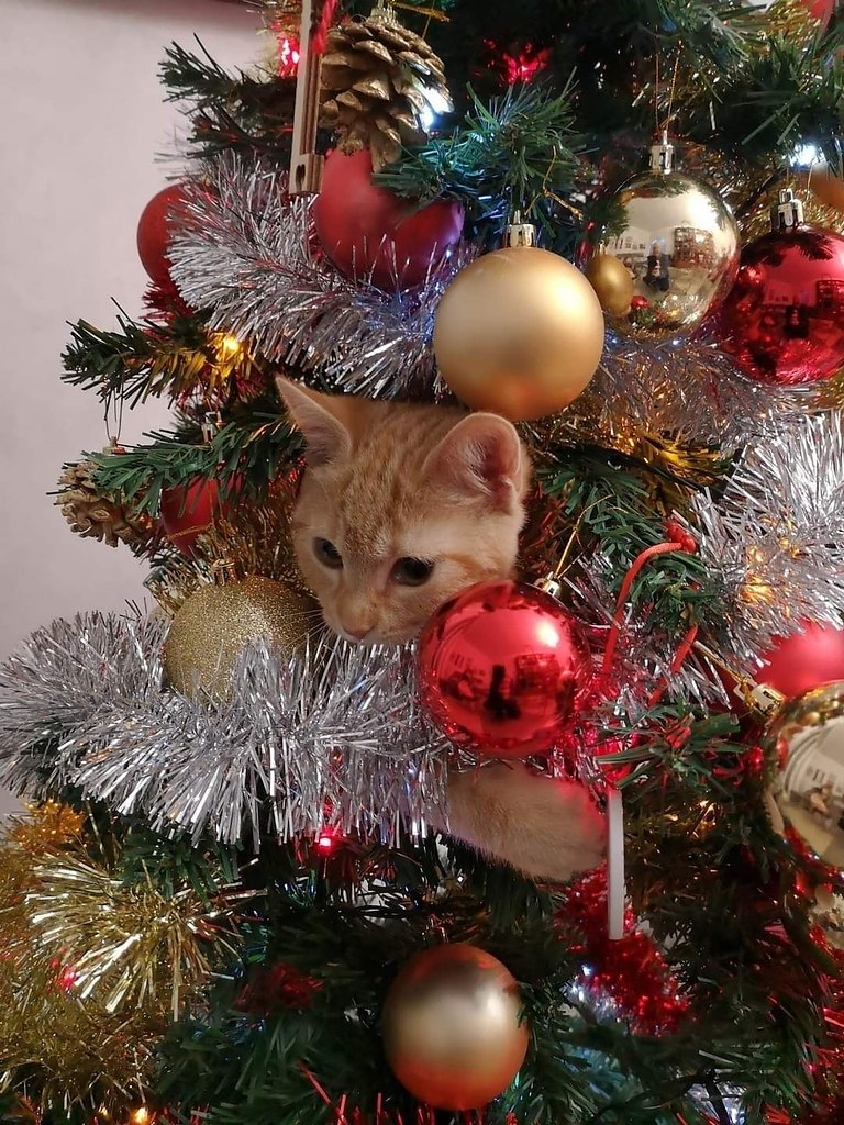 � ���� ���� ����� ������� ��������� �� ����)