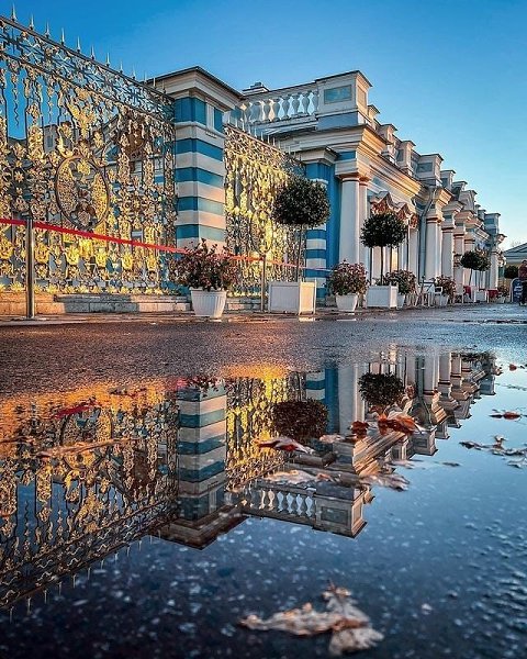 �������������� ���������.Maria skrypnik Petersburg