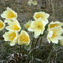 ���� ������, ������������, 67 ��� - ��������� 6 ������ 2023 � ������ ���� ����������