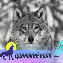 ���� ������, ���������, 39 ��� - ��������� 24 ������� 2022