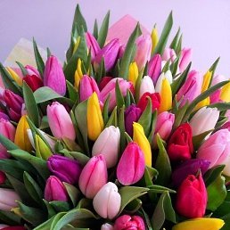 ���� Larysa, ����������� - ��������� 1 ������� 2023