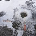 ���� �������, ����������, 42 ���� - ��������� 16 ������� 2022 � ������ ���� ����������