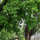 ���� ������, ������ - ��������� 24 ��� 2022 � ������ ���� ����������