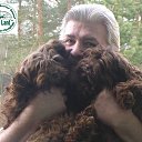 ���� ����, �����-��������� - ��������� 6 ������ 2022 � ������ ������ ��������