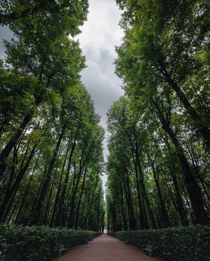     -  https://fotostrana.ru/away?to=/sl/pix4 - 4