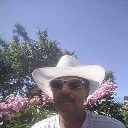 �����, ������, 65 ���