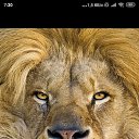���� ���, ����, 37 ��� - ��������� 23 ������� 2022