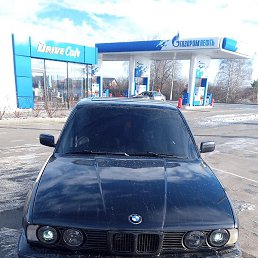 ��������, ������, 46 ���