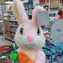 ���� ���������, ������������, 45 ��� - ��������� 8 ������� 2023