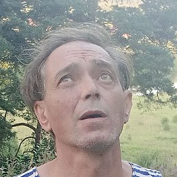 ����, �����, 53 ����