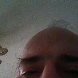 ���� ������, �����-���������, 52 ���� - ��������� 17 ������ 2022