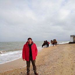 �����, �������, 54 ����