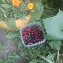 ���� �������, ������, 45 ��� - ��������� 23 ���� 2022