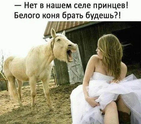  - 6  2022  16:29