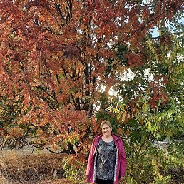 �����, ������, 52 ����