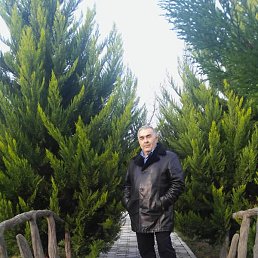 ���������, ����, 66 ���