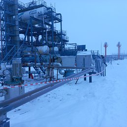 ���� �����, ������ ��������, 55 ��� - ��������� 7 ������� 2023