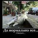 ���� ��������, ������, 63 ���� - ��������� 5 �������� 2022