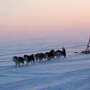 ���� ���������, �����, 56 ��� - ��������� 30 ������ 2023 � ������ ������ ��������