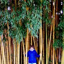 ���� ������, ��������, 65 ��� - ��������� 28 ������ 2022 � ������ ���� ����������