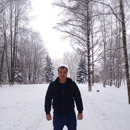 ������, �������, 37 ���