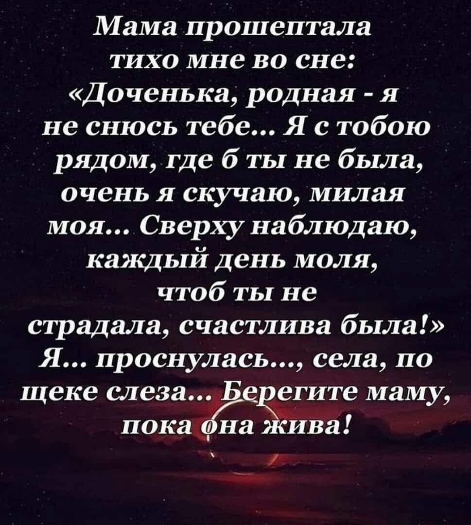 ���������� - 3 ��� 2022 � 04:06
