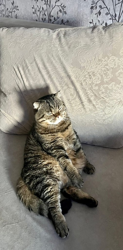  ! )