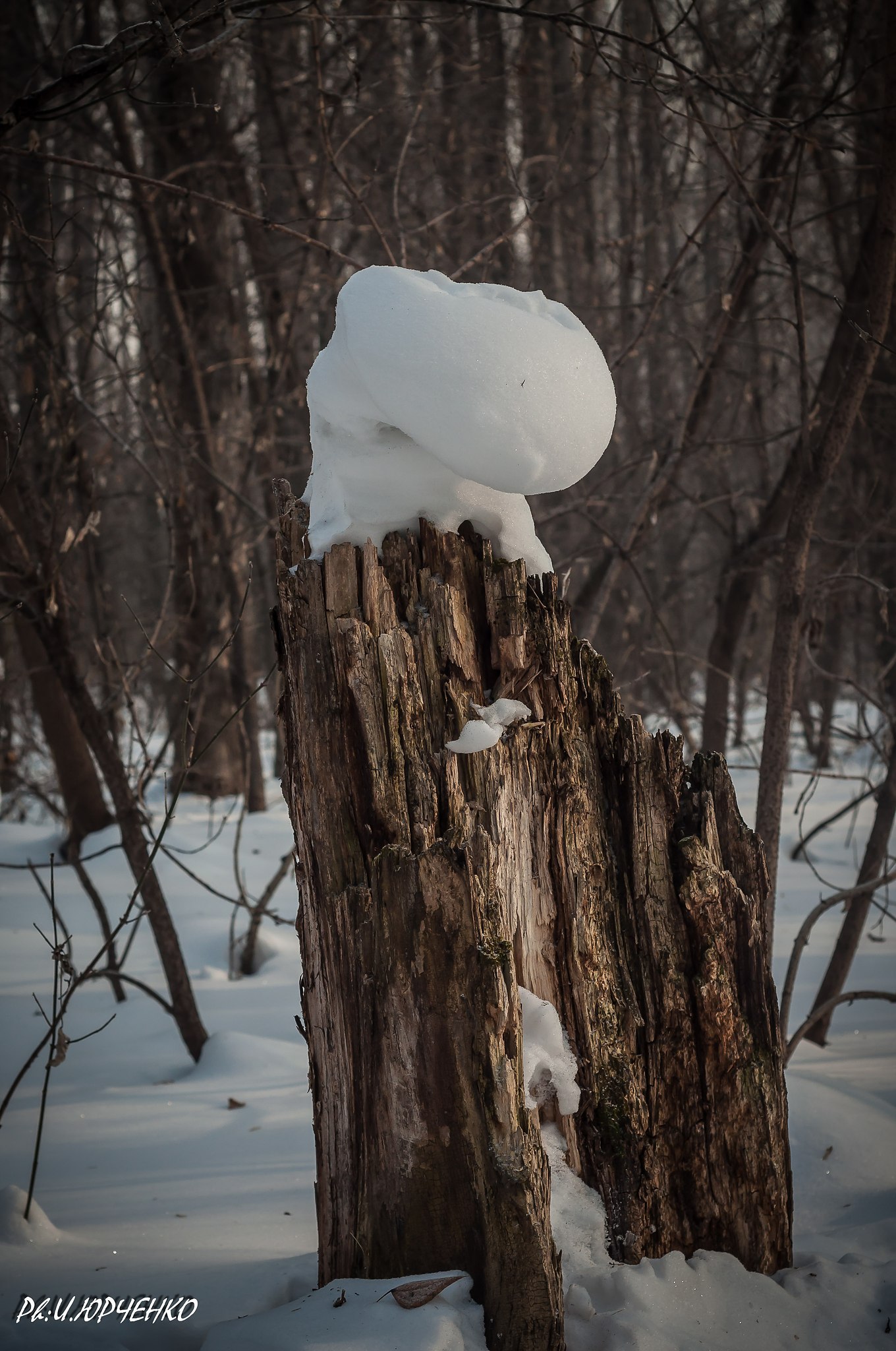  - 2  2023  10:42 - 5