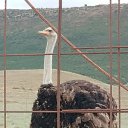 ���� ���, �������� - ��������� 20 ����� 2022 � ������ ���� ����������