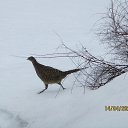 ������� � ��� �� ����� ���� � ������ ������ ��������, �� ������� ���������������� ������ ���� ������... �� ������� ������