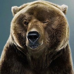 ���� ����, �����, 44 ���� - ��������� 23 ������ 2023