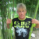 ���� ��������, ��������, 64 ���� - ��������� 22 ������� 2022 � ������ ���� ����������