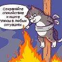 ���� �����, �����-��������� - ��������� 11 ������� 2022 � ������ ���� ����������