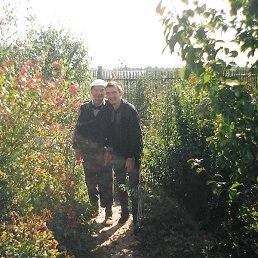 ����, ������