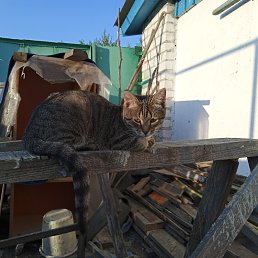 ���� ������, ������, 60 ��� - ��������� 8 ������ 2022