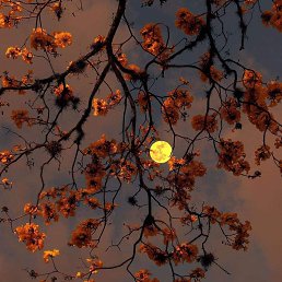 ���� Nn, ����� - ��������� 9 ������ 2022