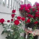 ���� �������, ������, 67 ��� - ��������� 17 ������ 2023 � ������ ���� ����������