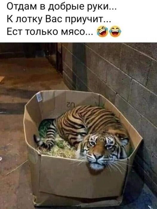 ����� - 27 ������� 2022 � 11:10