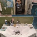 ���� �������, �����, 74 ���� - ��������� 3 ������ 2023 � ������ ���� ����������
