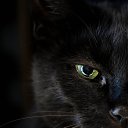 ���� Aleksej, ����� - ��������� 27 ���� 2022 � ������ ���� ����������