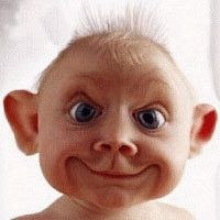 ���� ������, ������, 48 ��� - ��������� 17 ������ 2023