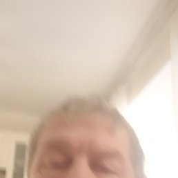 , 65 , 