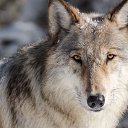 ���� ����, ����������, 48 ��� - ��������� 7 ������� 2023