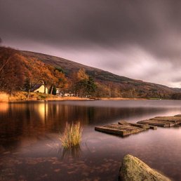 ������, ����, 52 ����