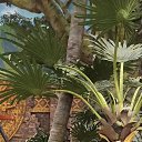 ���� ���, ������, 26 ��� - ��������� 2 ������� 2022 � ������ ���� ����������