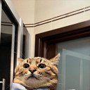 ���� No Comment, �����������, 33 ���� - ��������� 6 ������� 2023 � ������ ���� ����������