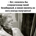 ���� �����, ������, 41 ��� - ��������� 13 ������� 2022 � ������ �������������� ����������